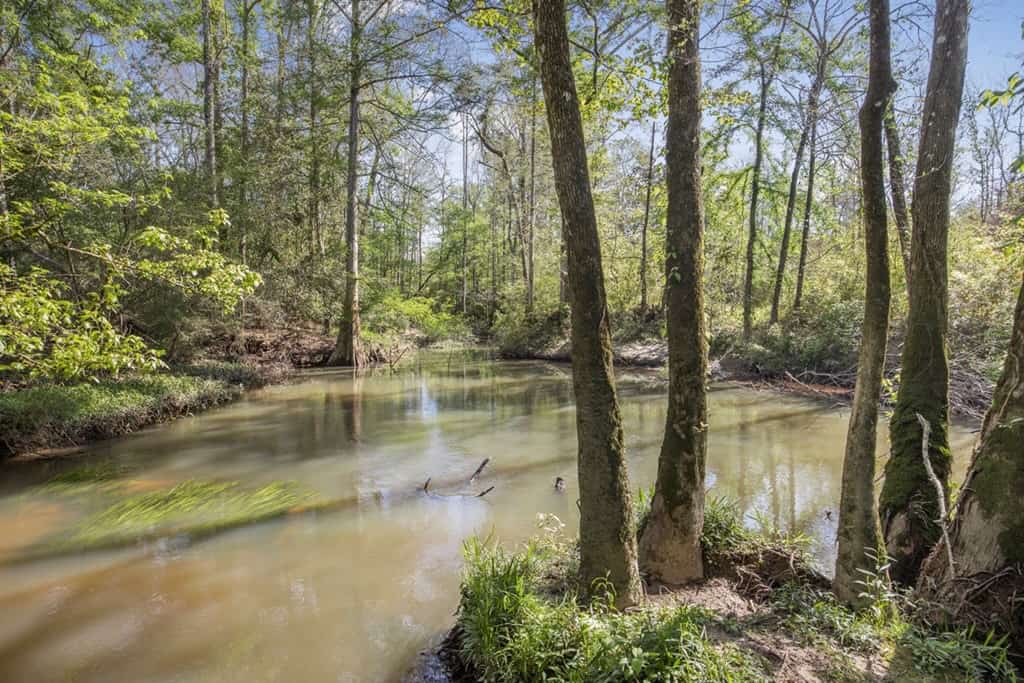 1250 Acre Timberland Lodge on the Tickfaw River South MS
