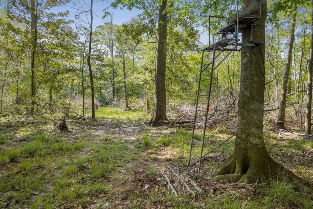1250 Acre Timberland Lodge on the Tickfaw River South MS
