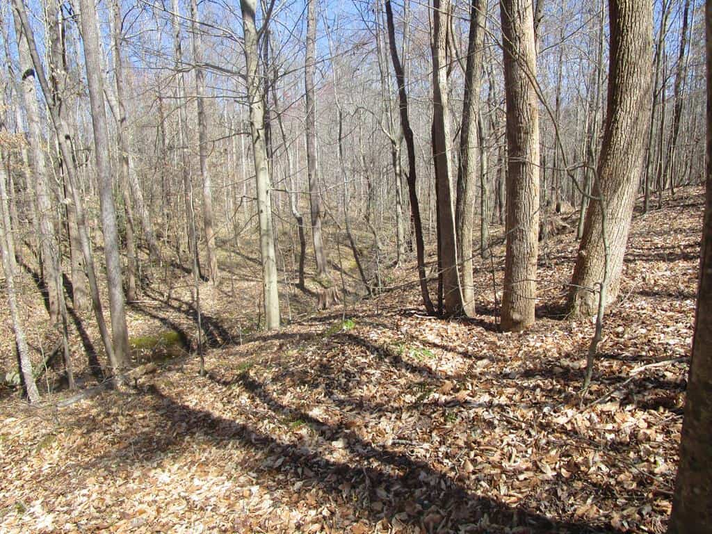 NEW GROVE RETREAT IN SOUTHERN VA