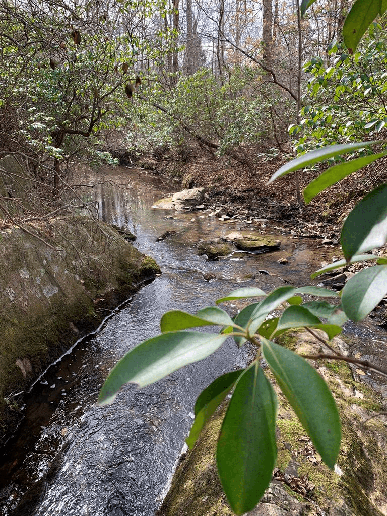 Twin Creeks Retreat In Southern VA