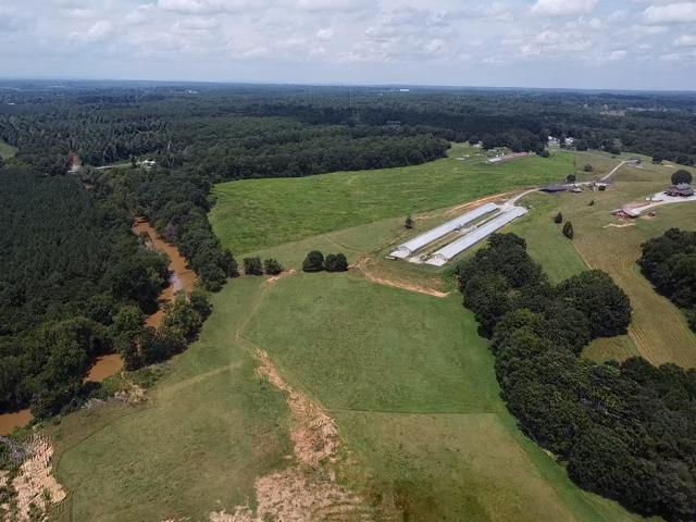 Poultry & Cattle Farm In North Carolina