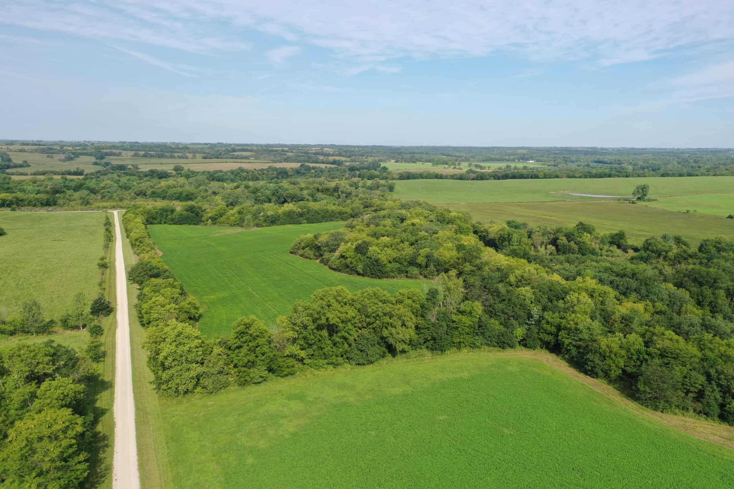 For Sale 140 Acres m/l in Worth County