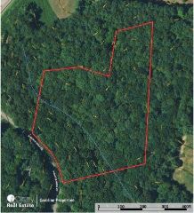 5 Acre Building Site with Mature Hardwoods and Creek