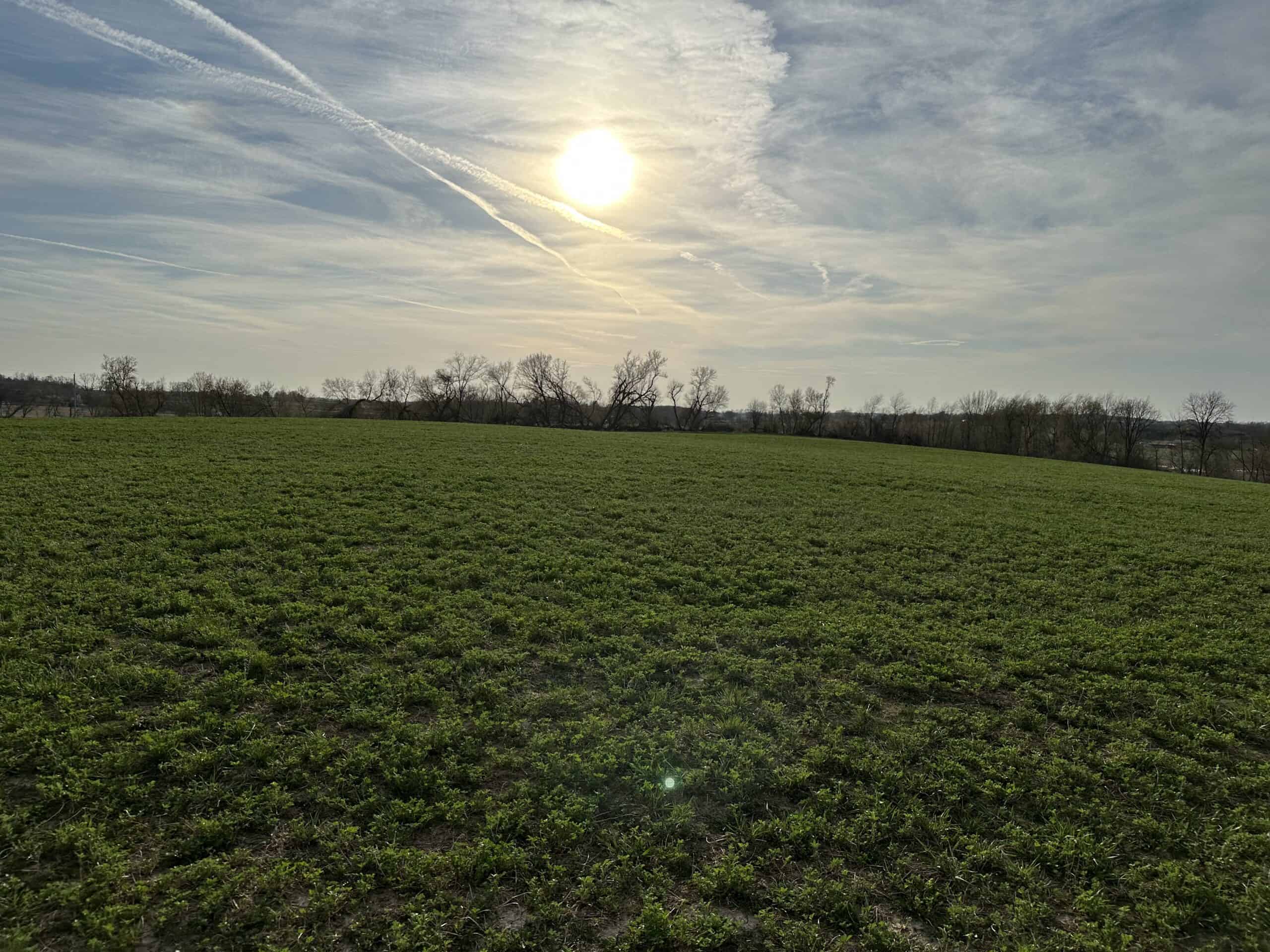 32+/- Acres of Winnebago County Tillable Land