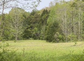 Hunting, Recreational and Timberland Property For Sale in Butler, County Kentucky.