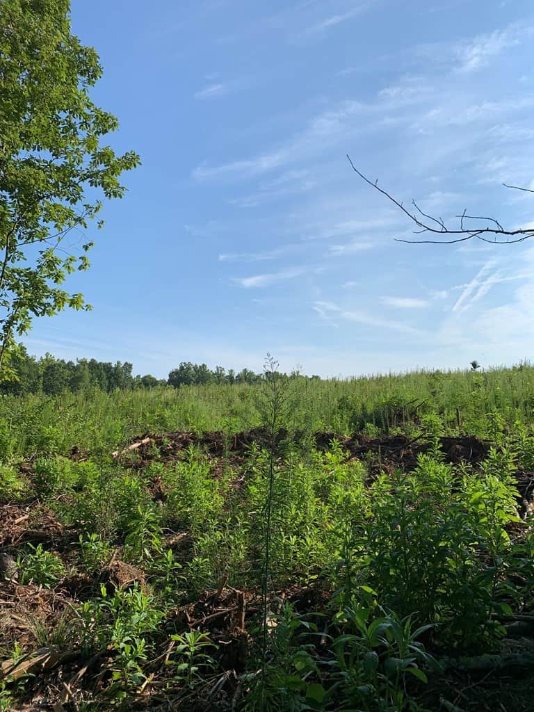 Arrowhead Acres In Skipwith, VA