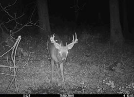 Turnkey Hunting Camp for Sale in Richland Center, WI