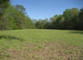 TN FARM FOR SALE WITH CREEK, POND, TIMBER, HUNTING