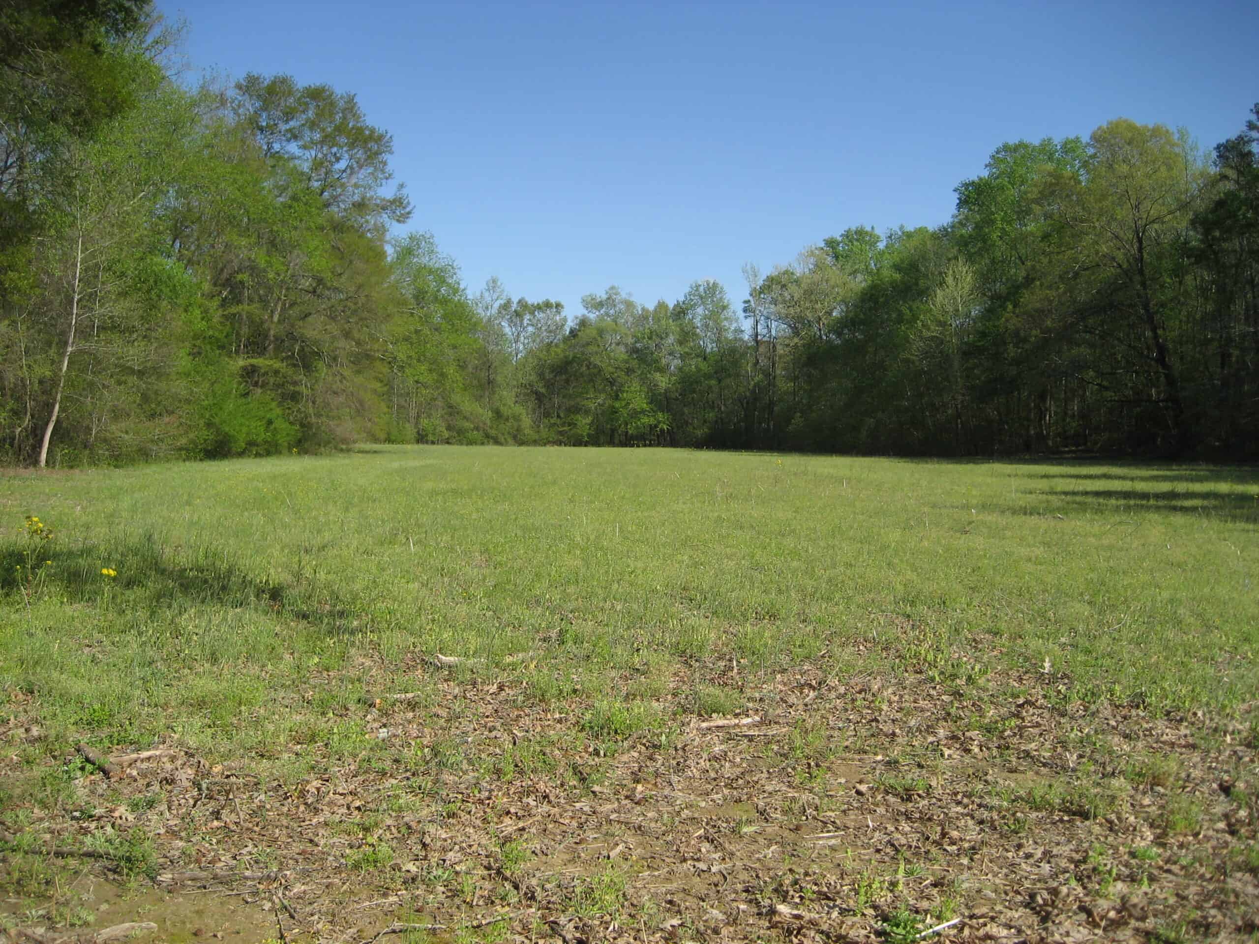TN FARM FOR SALE WITH CREEK, POND, TIMBER, HUNTING
