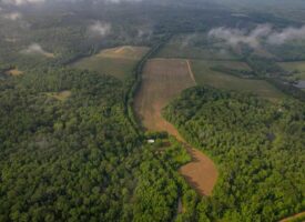 455 Acres for Sale Hunting Land in Claiborne County, MS