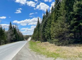 60 acres of Maine land for sale