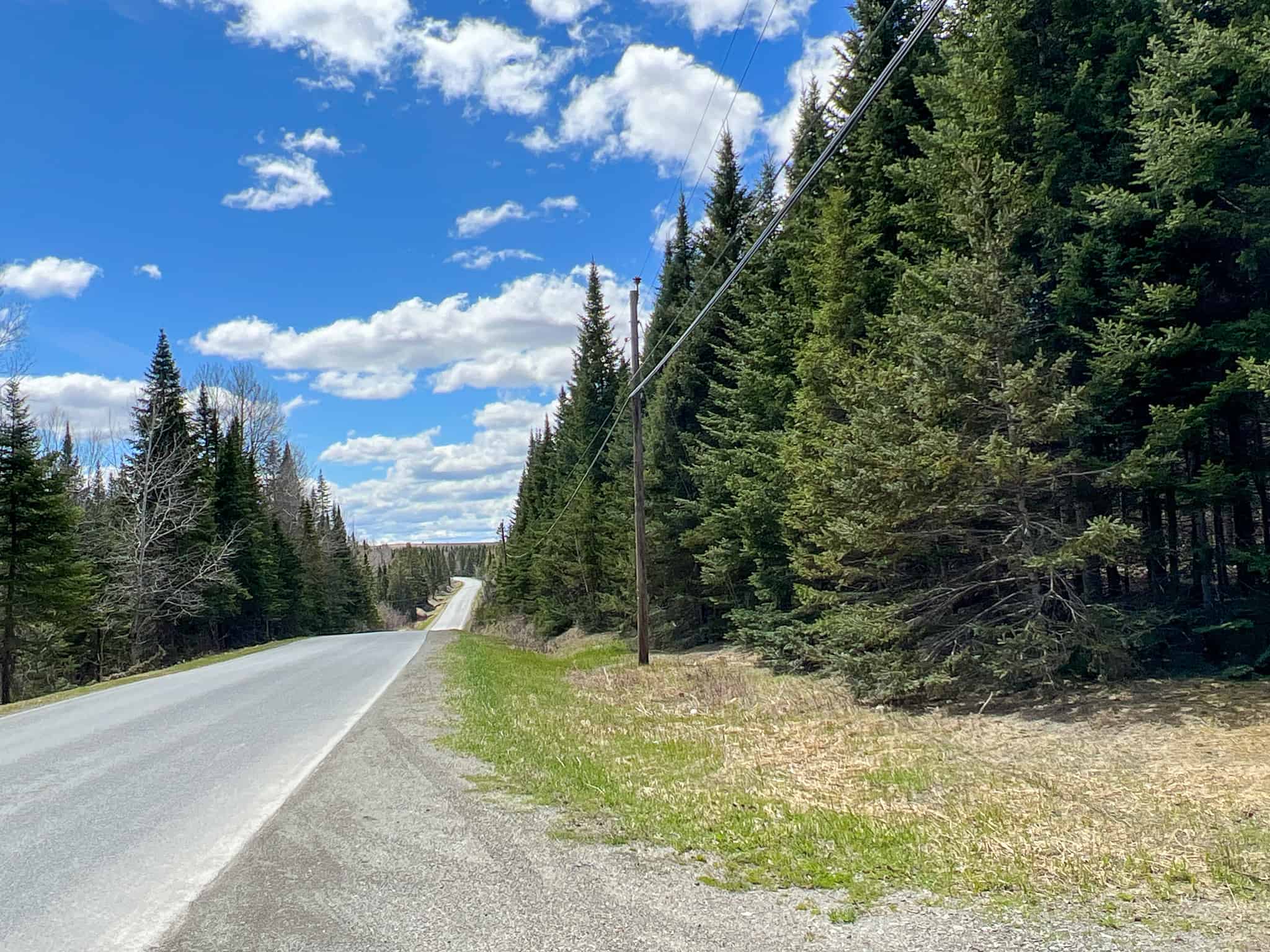 60 acres of Maine land for sale