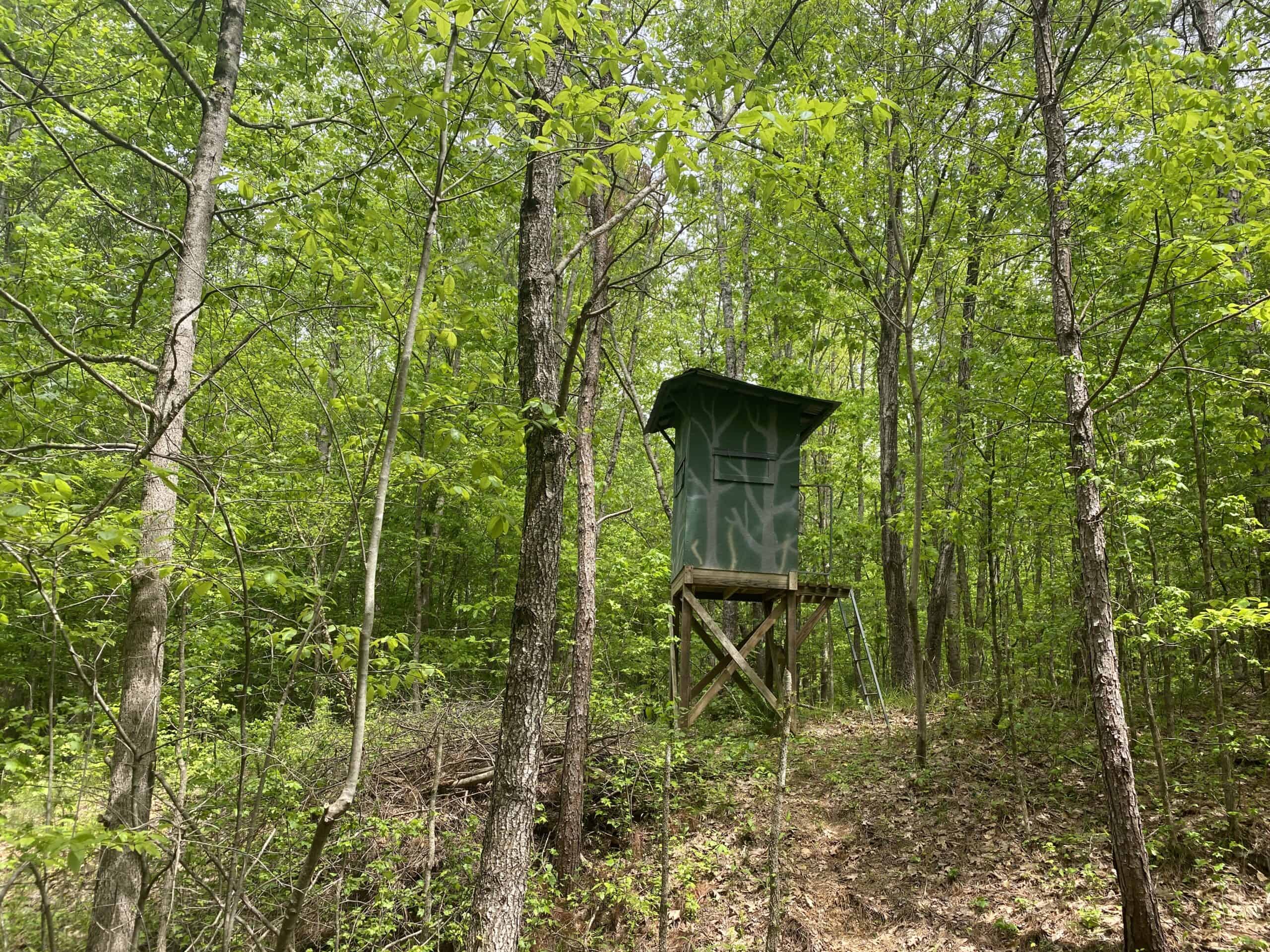 HUNTING LAND FOR SALE IN TN. YEAR ROUND WATER, 107.977 ACRES