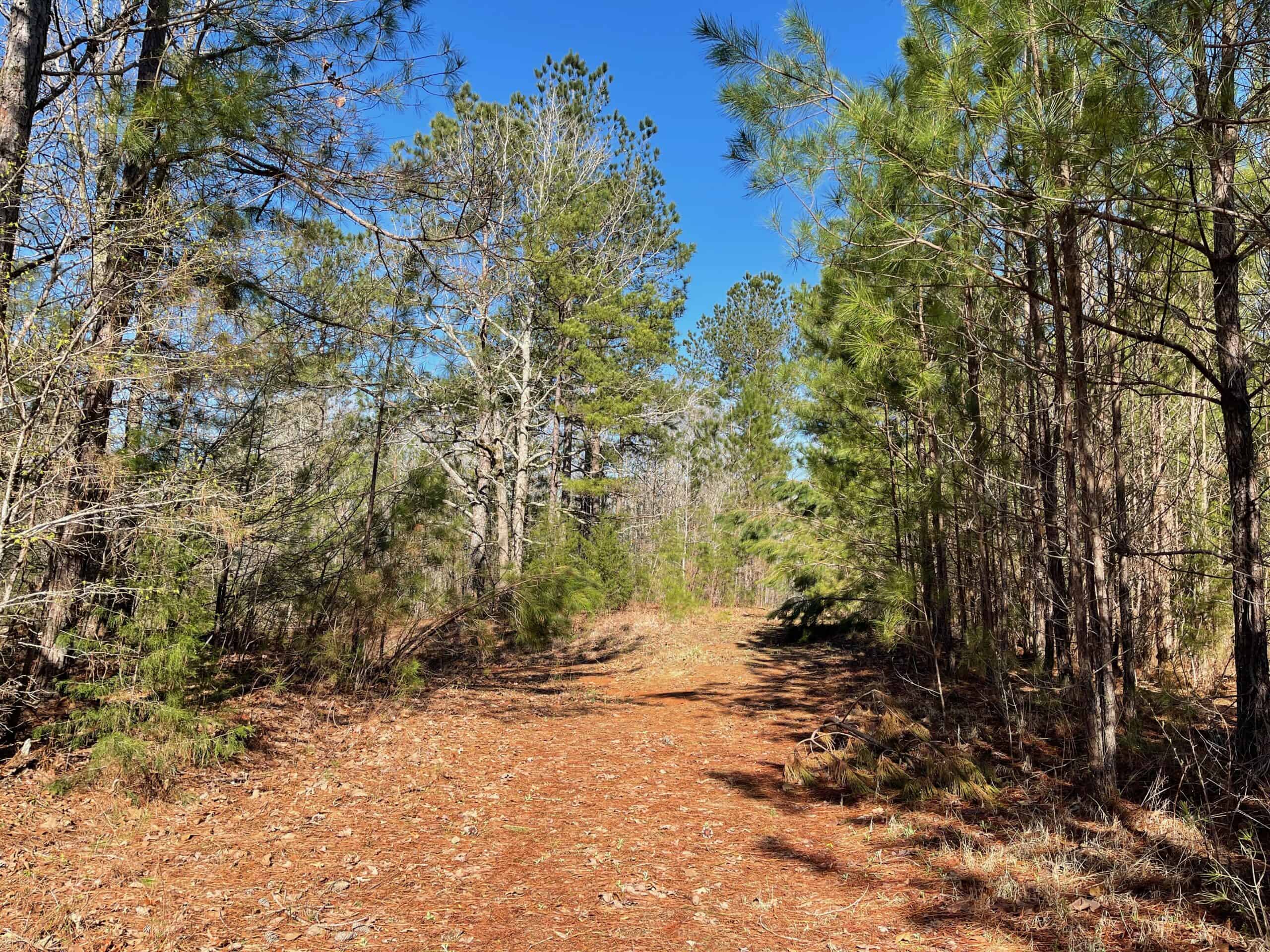 90 ACRES LAND WITH CREEK FOR SALE IN TN