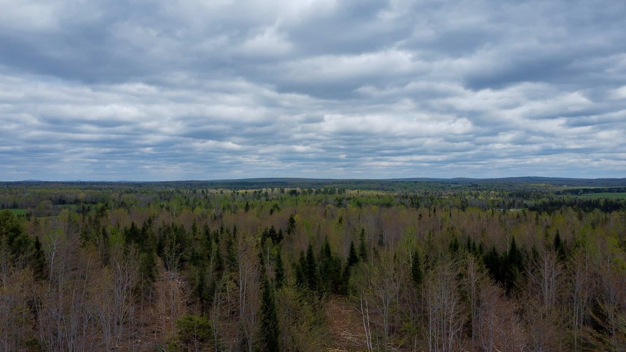 100+ Acres in Northern Maine