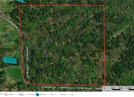 East TX Small Acreage Hunting Land near Jacksonville