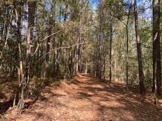 Turnkey 26.5 Acres for Sale in Clinton, LA