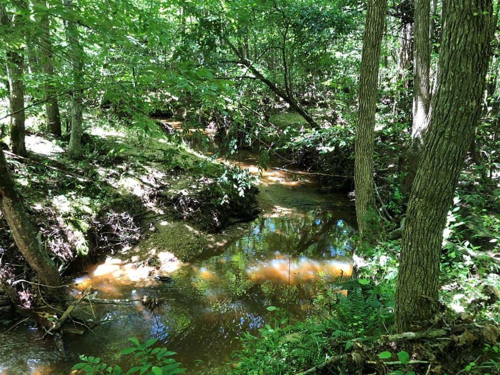 Welcome To Wicked Ridge In Southern VA