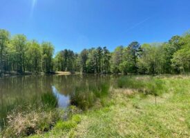 Waterfront Acreage With Views