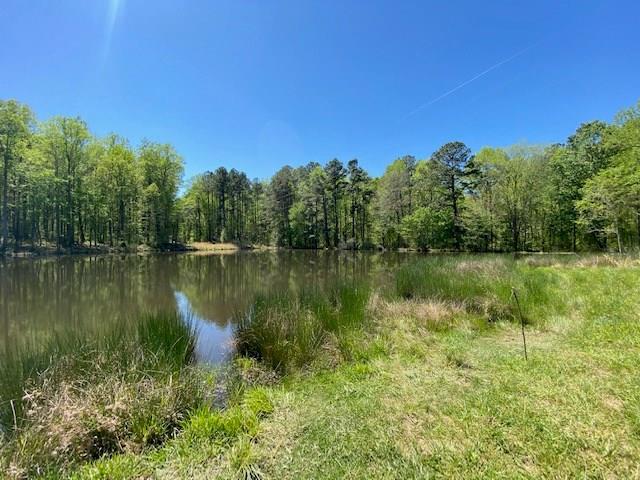 Waterfront Acreage With Views