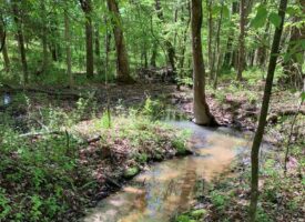Kerr Lake Acreage In North Carolina