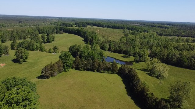 Annie Oaks Farm In Southern VA