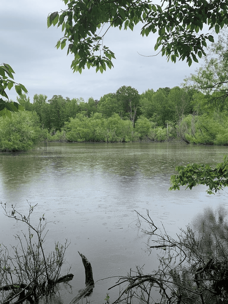 The Bluff of Bluestone On Kerr Lake, VA