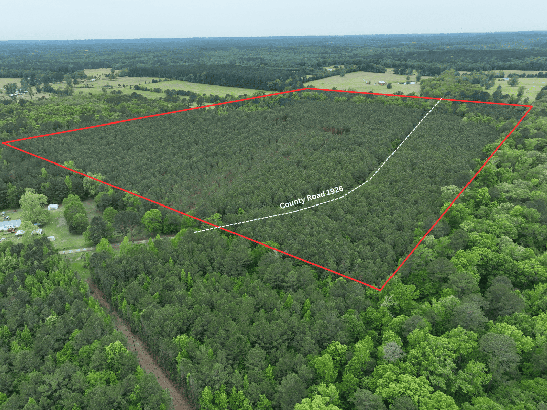 East Texas Hunting Property