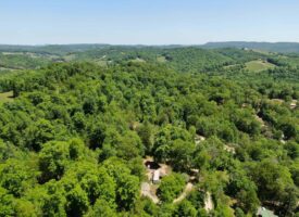 Wooded Property in Claiborne County, Tennessee