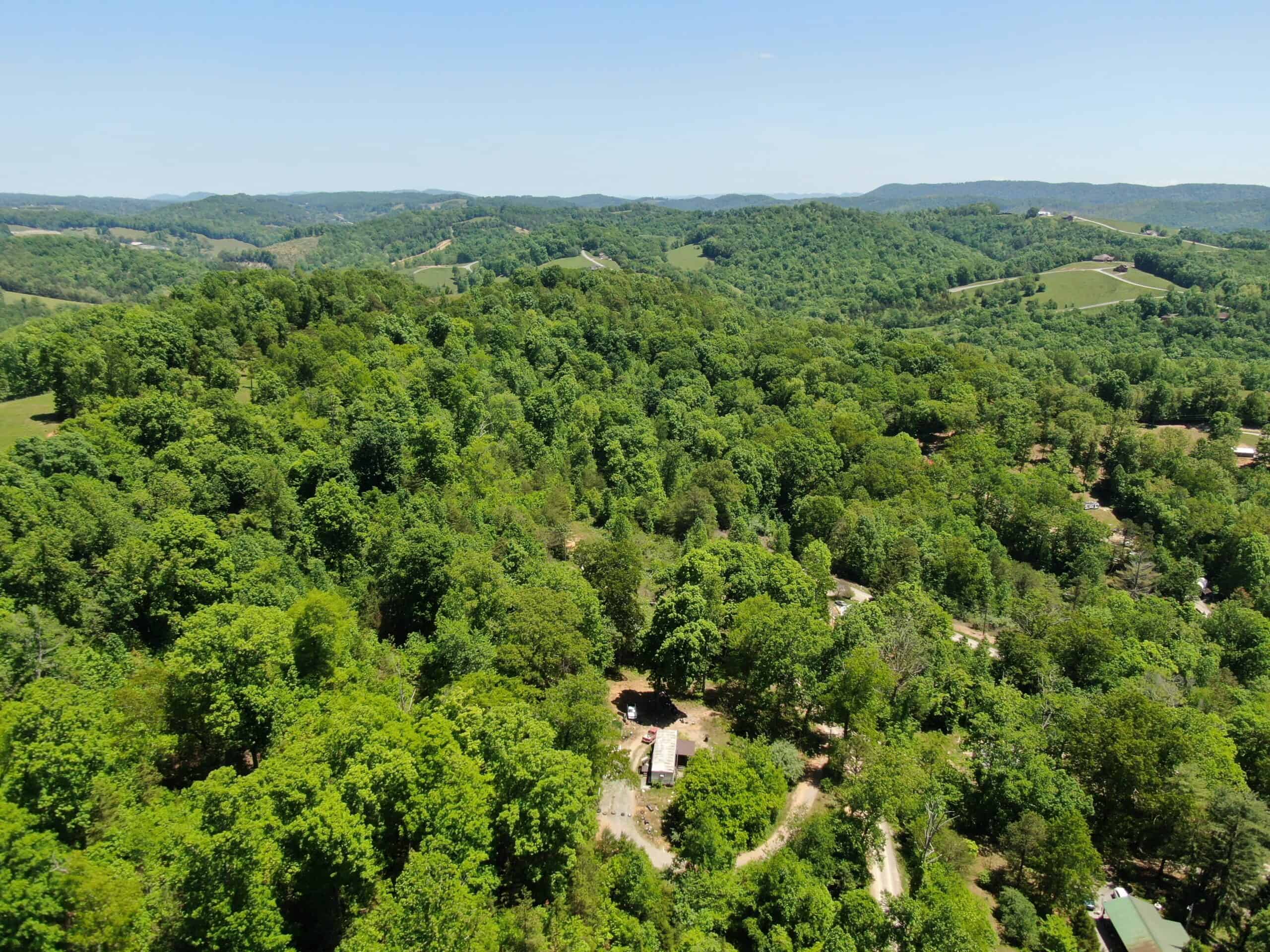 Wooded Property in Claiborne County, Tennessee