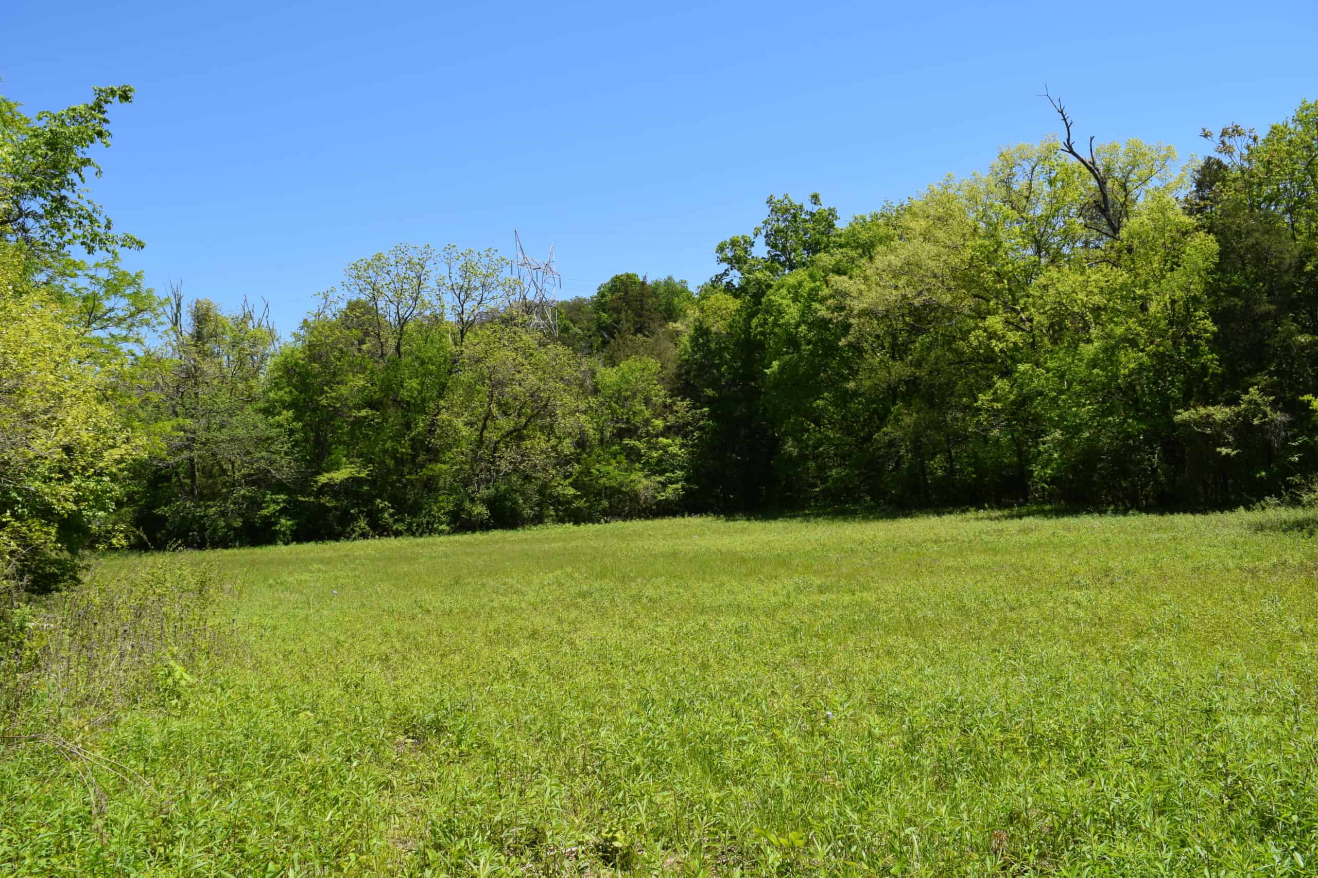 Sprawling Property for Sale in Jefferson County TN: Spring-fed Pond, Woods & Pasture on Unrestricted Land