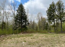 Bear Mountain Homesite