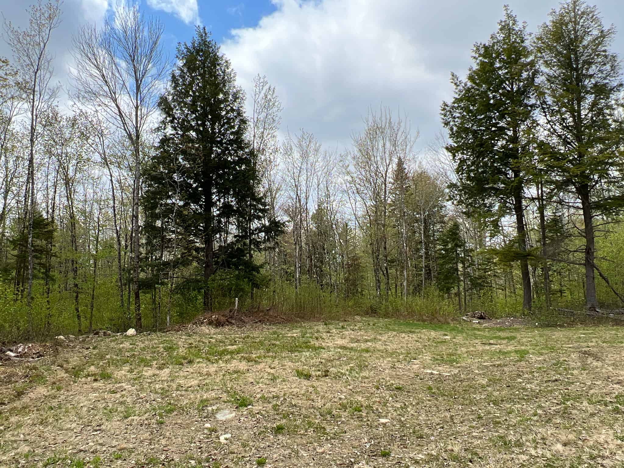 Bear Mountain Homesite