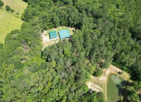 Cabin in the Woods with Acreage and a Pond SW MS