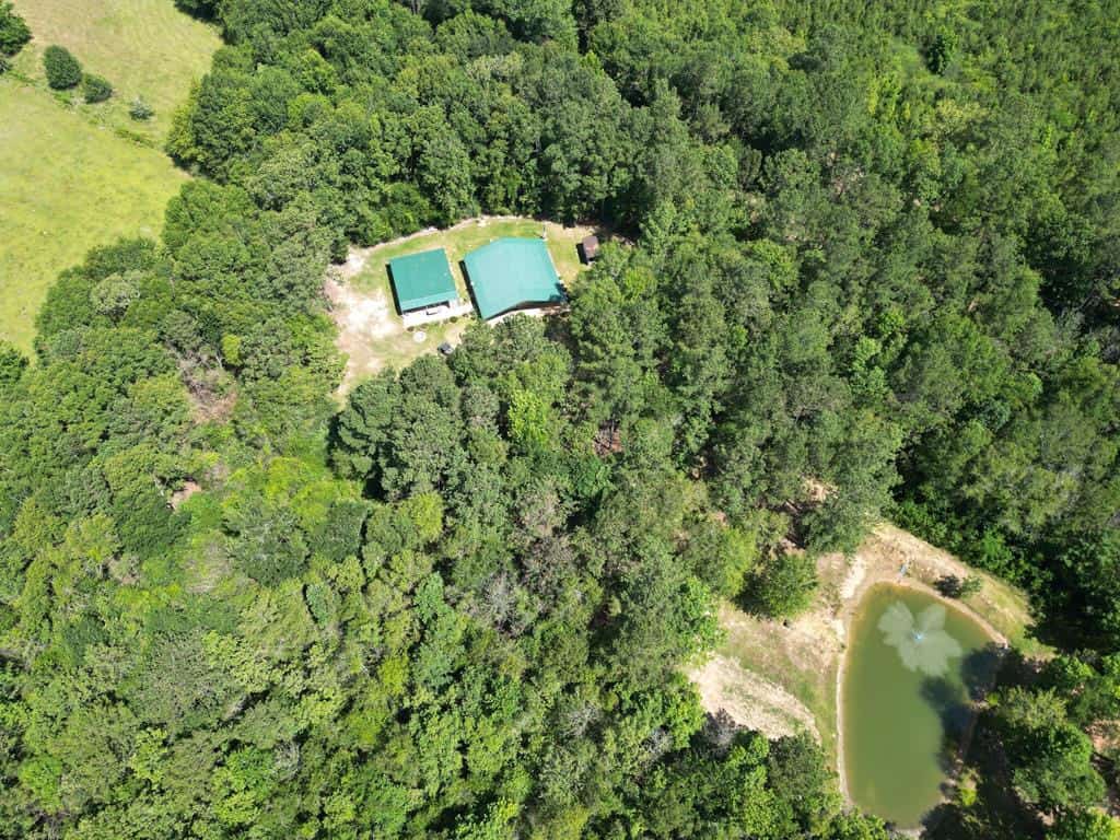 Cabin in the Woods with Acreage and a Pond SW MS