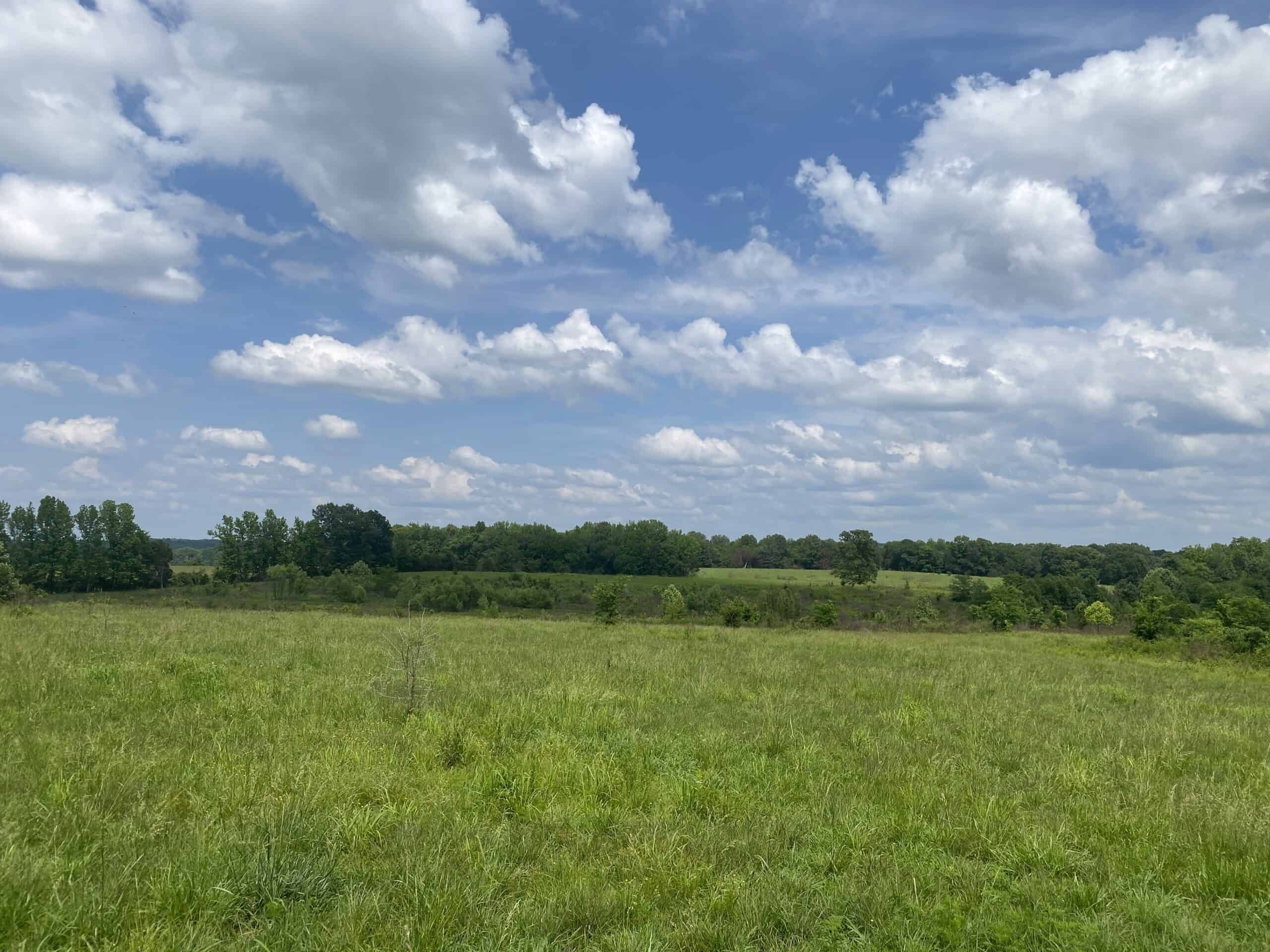 Tennessee Hunting Land UC Hunting Properties