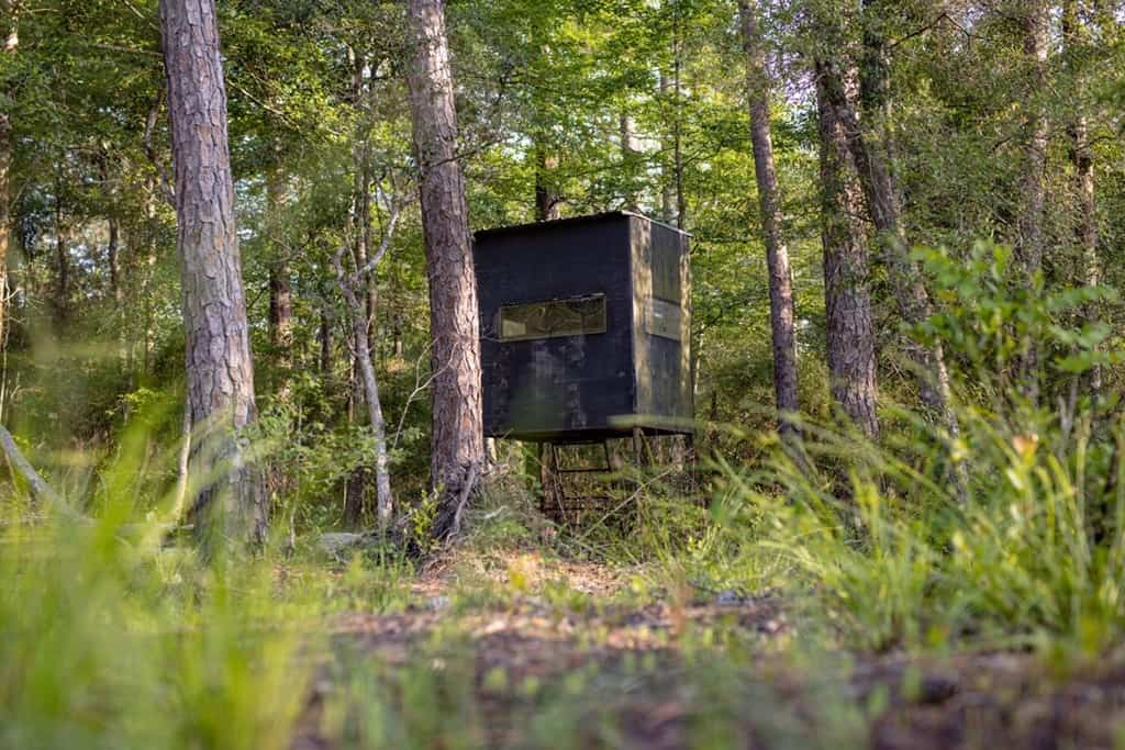 156 Acres for Sale Hunting Land in Pearl River County, MS