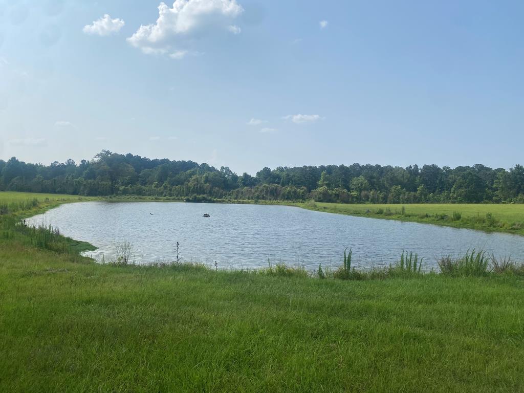 Hunting Land For Sale in Mississippi Hunting Properties for sale in