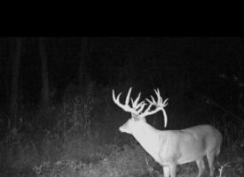 North TX Hunting & Cattle Ranch Farmersville Collin County