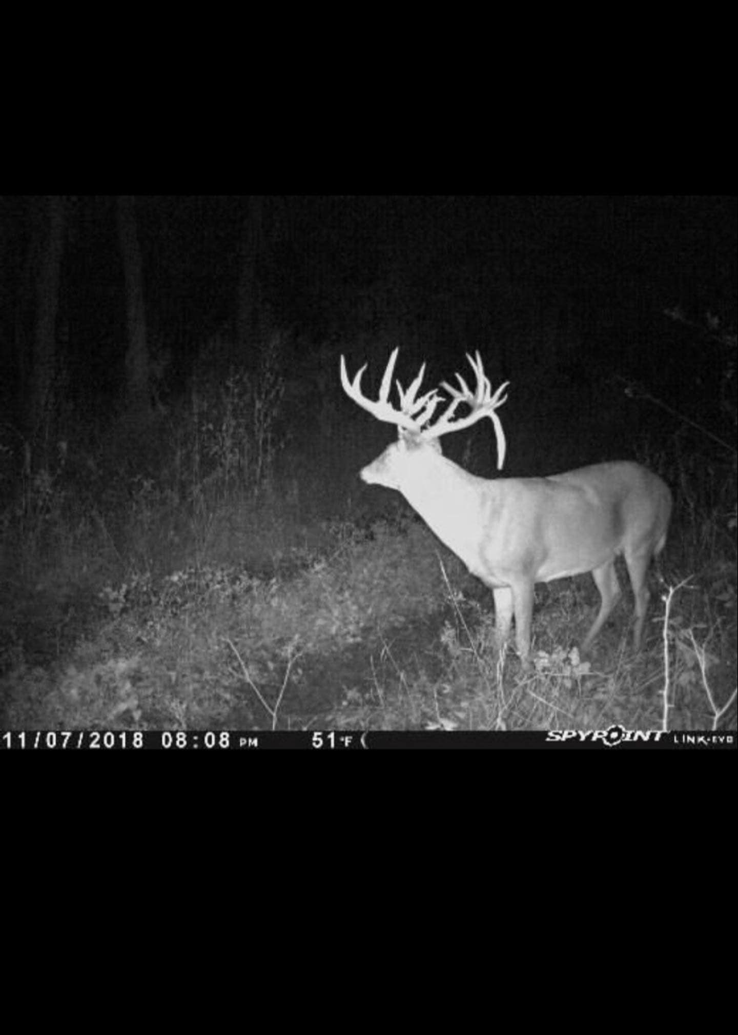North TX Hunting & Cattle Ranch Farmersville Collin County