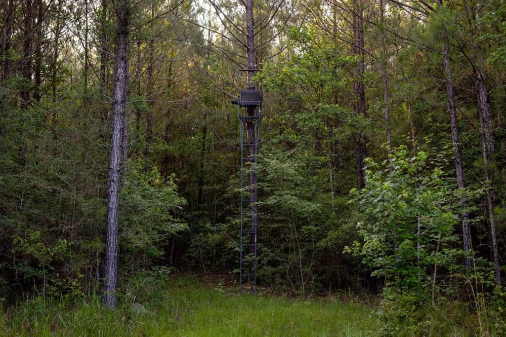 156 Acres for Sale Hunting Land in Pearl River County, MS