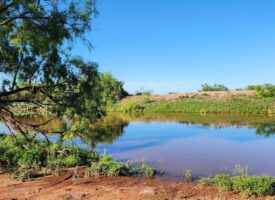 Texas High-Fenced Hunting Ranch near San Angelo and Midland