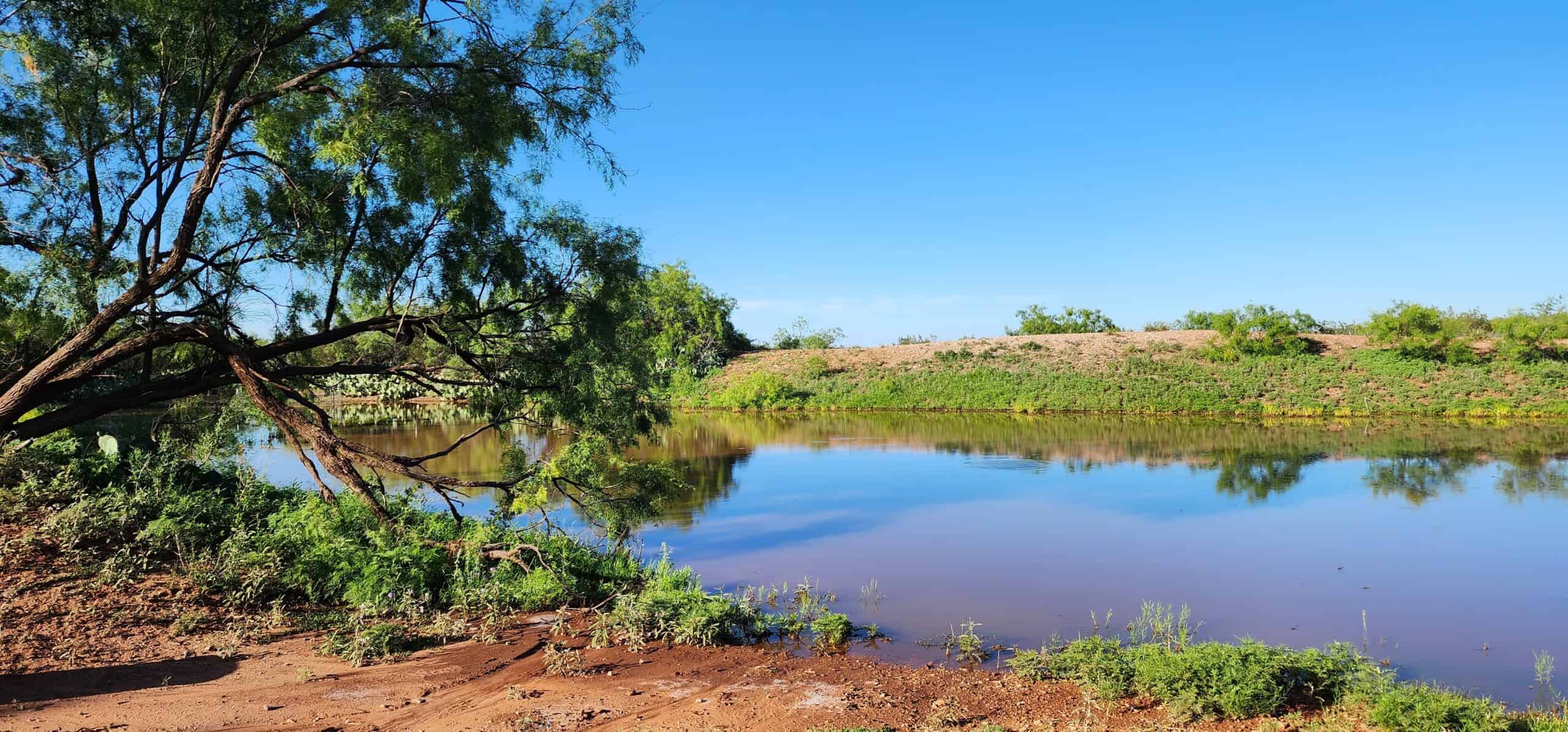Texas High-Fenced Hunting Ranch near San Angelo and Midland