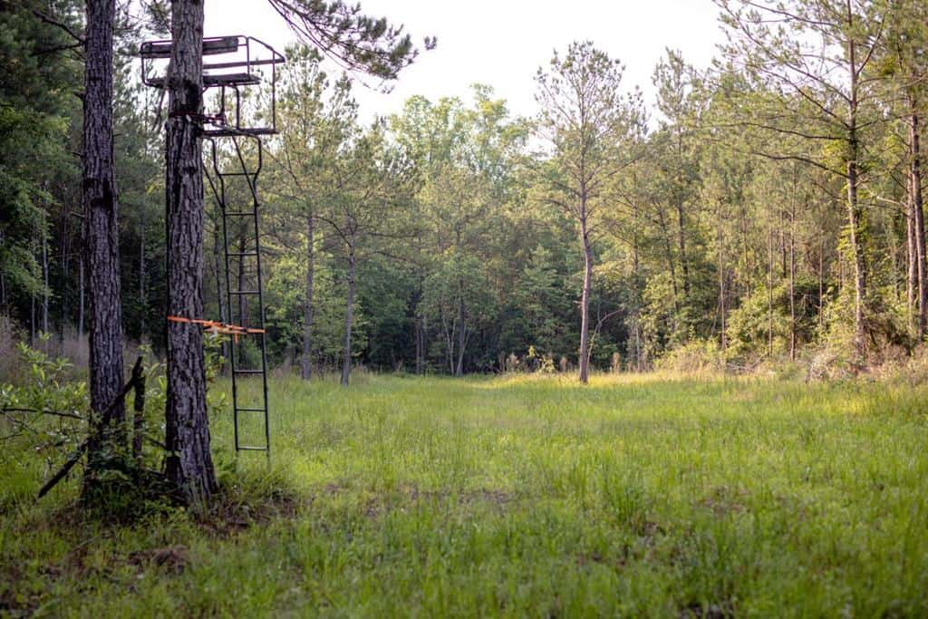 156 Acres for Sale Hunting Land in Pearl River County, MS