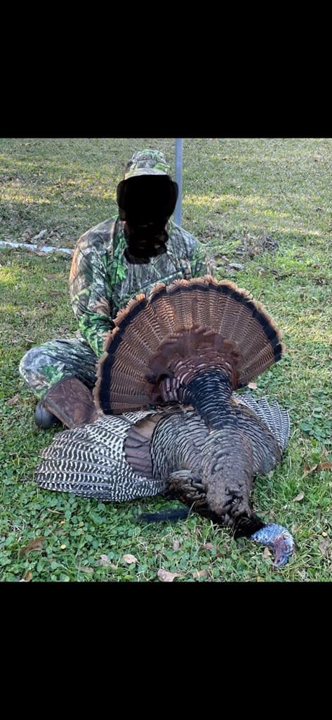 156 Acres for Sale Hunting Land in Pearl River County, MS