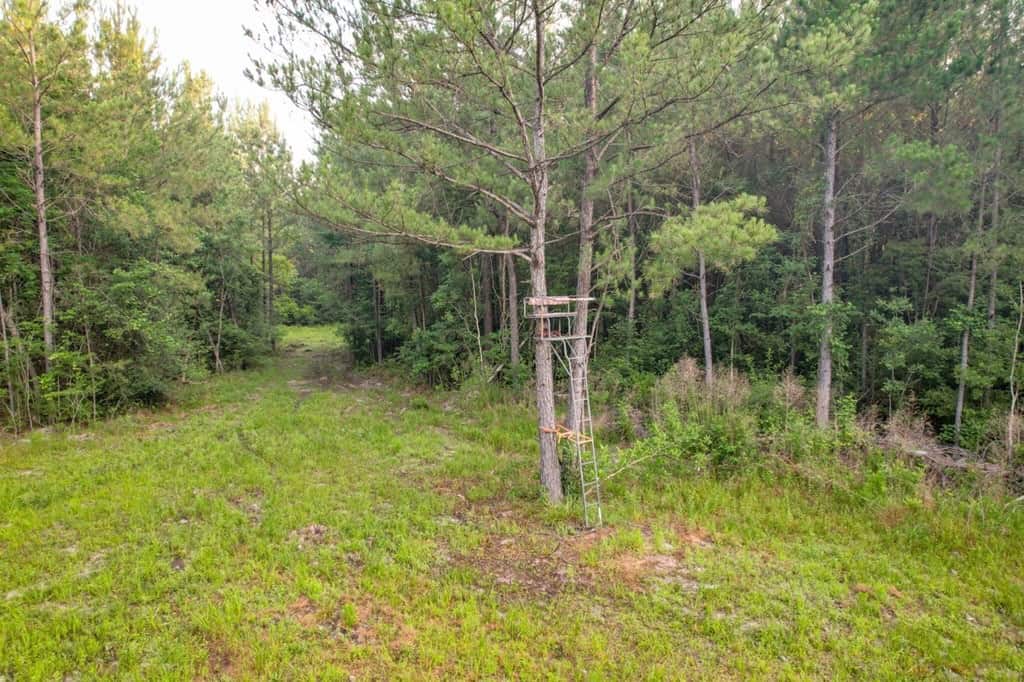 156 Acres for Sale Hunting Land in Pearl River County, MS