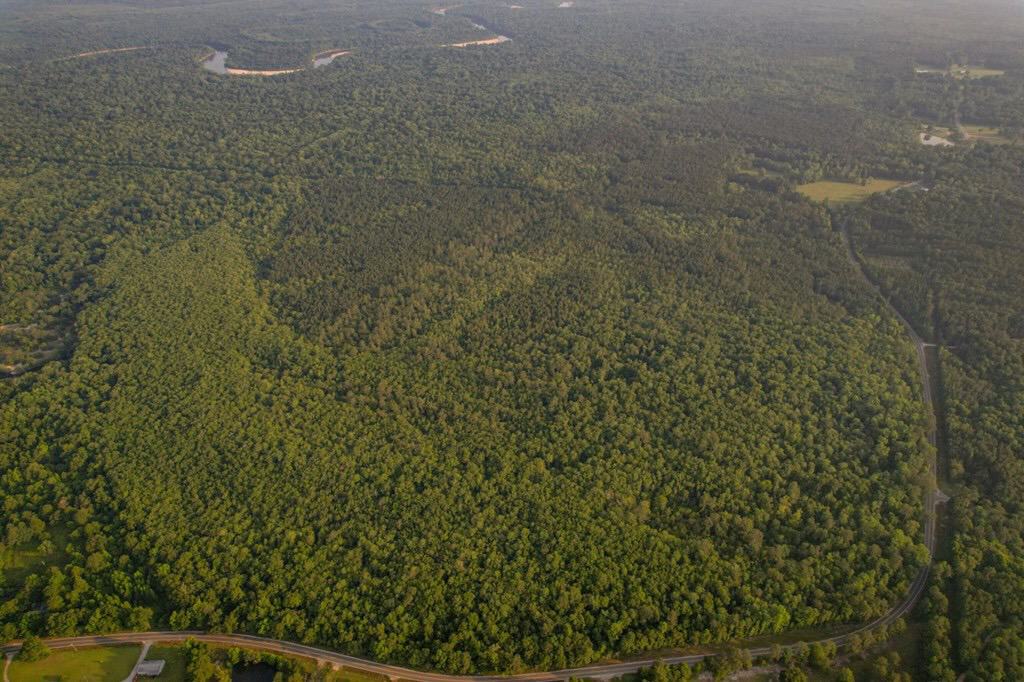 156 Acres for Sale Hunting Land in Pearl River County, MS