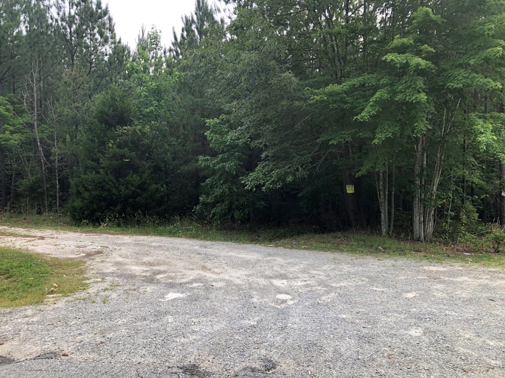 Wildlife Watch In Boydton, VA