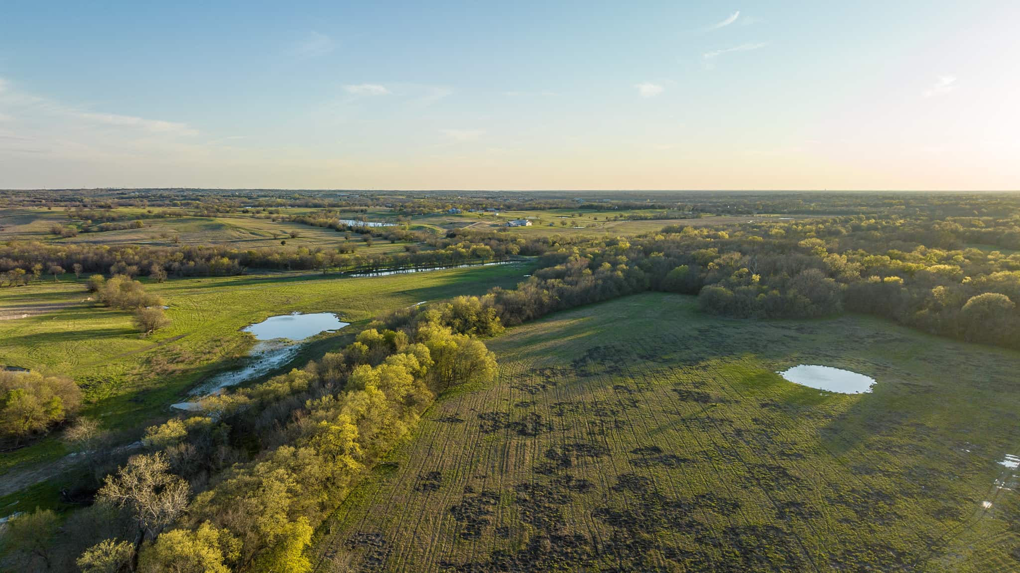 Hunt & Fish on TX Ranch for Sale in Farmersville Collin County