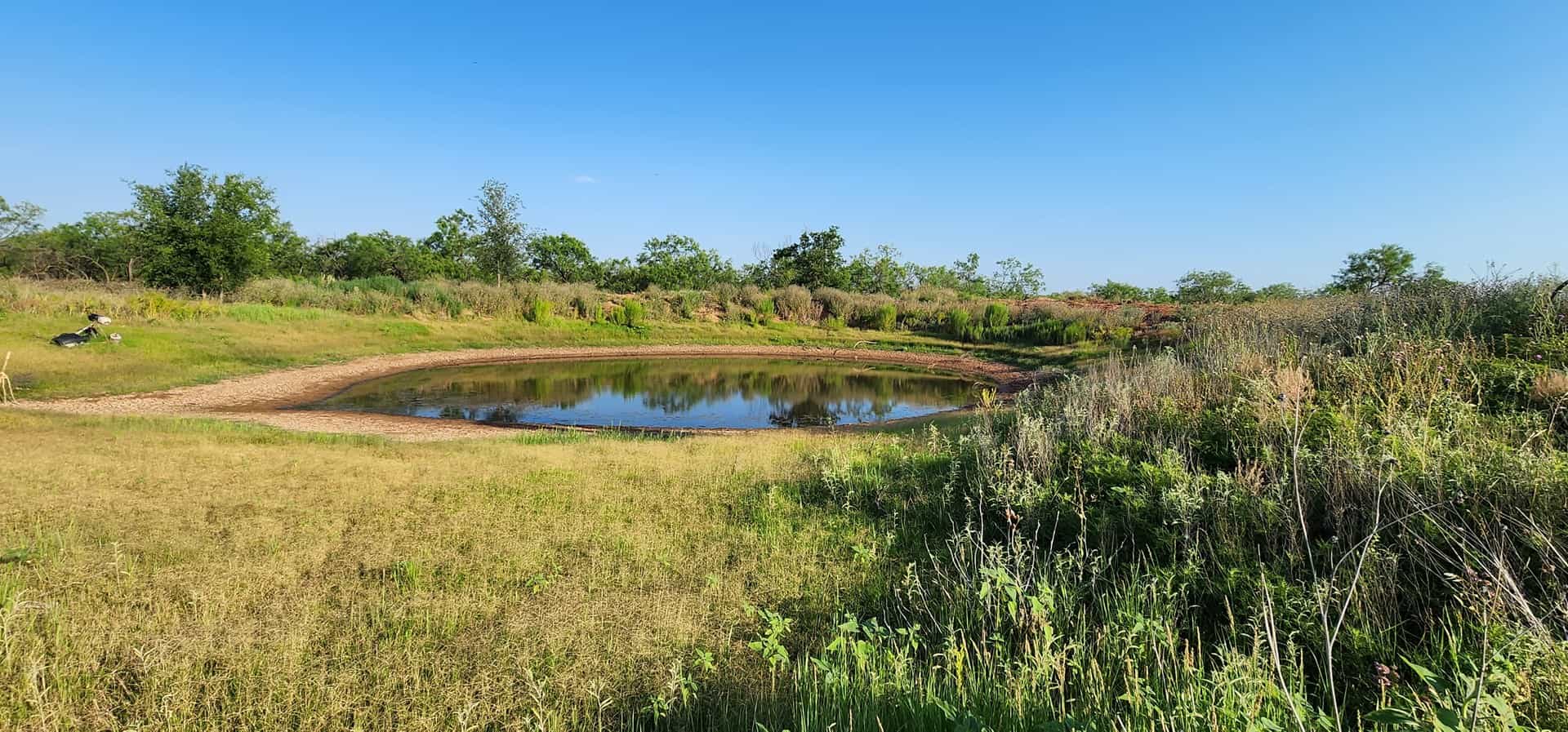 Texas Farmland for Sale near San Angelo, Robert Lee, and Midland